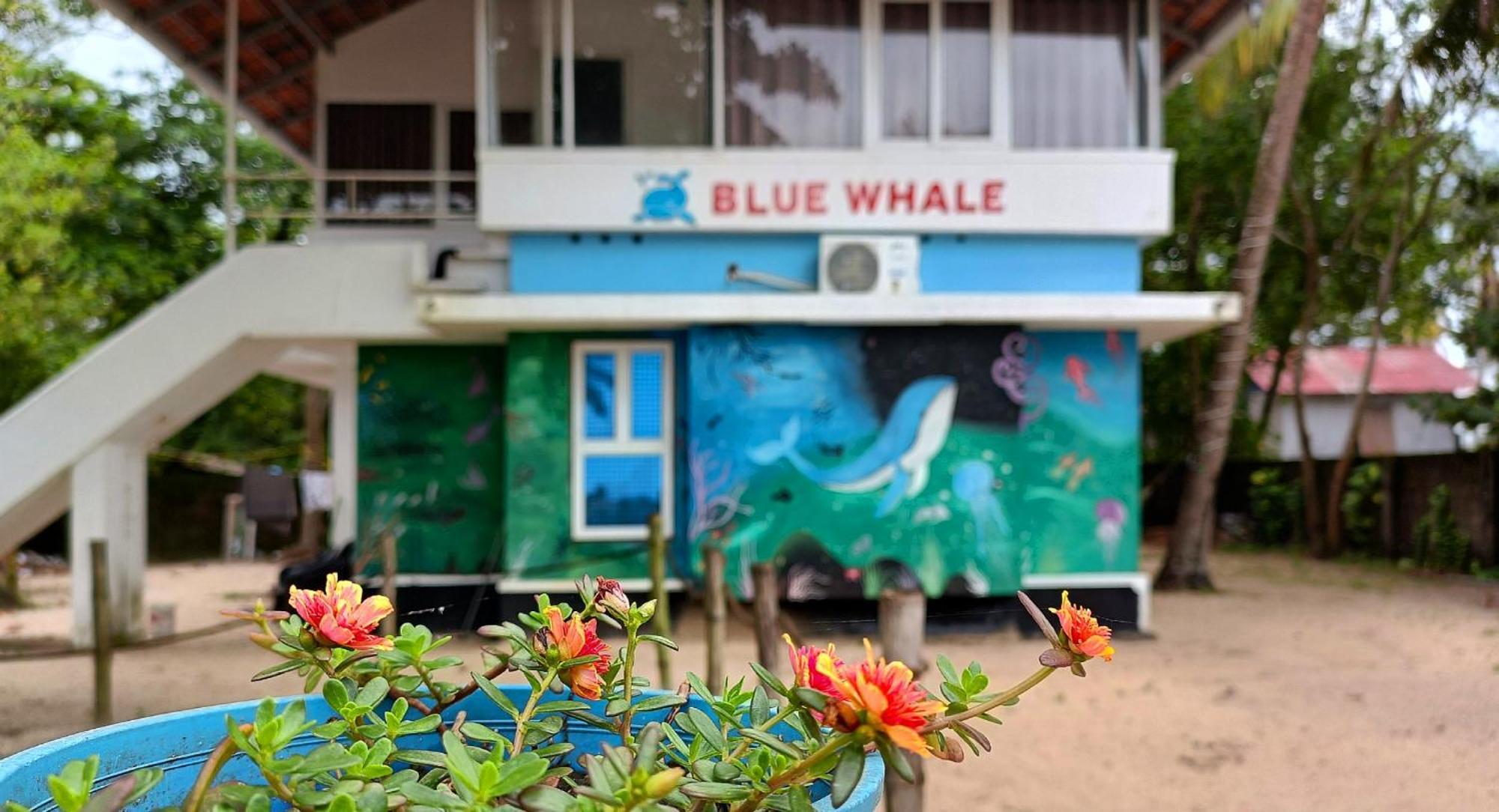 Marari Blue Whale Beach House アーラップーザ県 エクステリア 写真