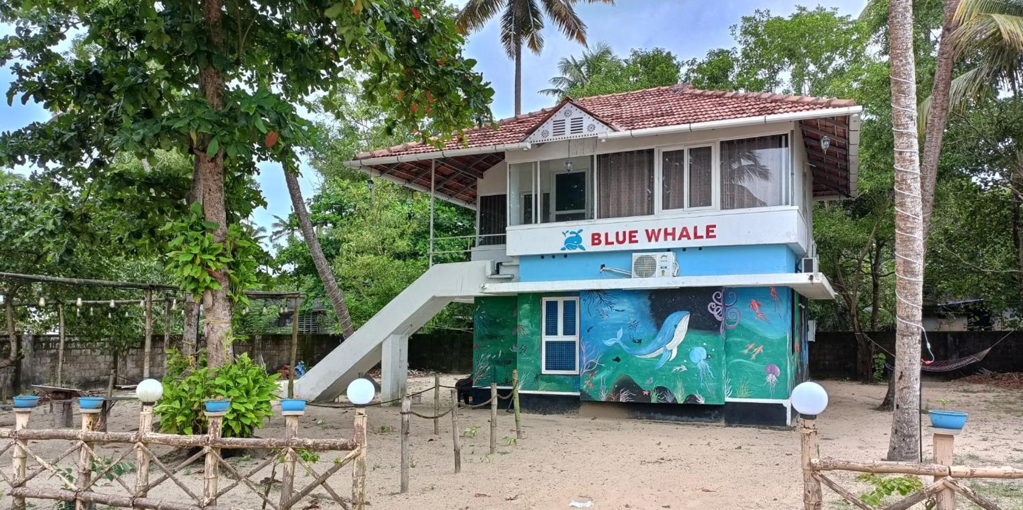 Marari Blue Whale Beach House アーラップーザ県 エクステリア 写真