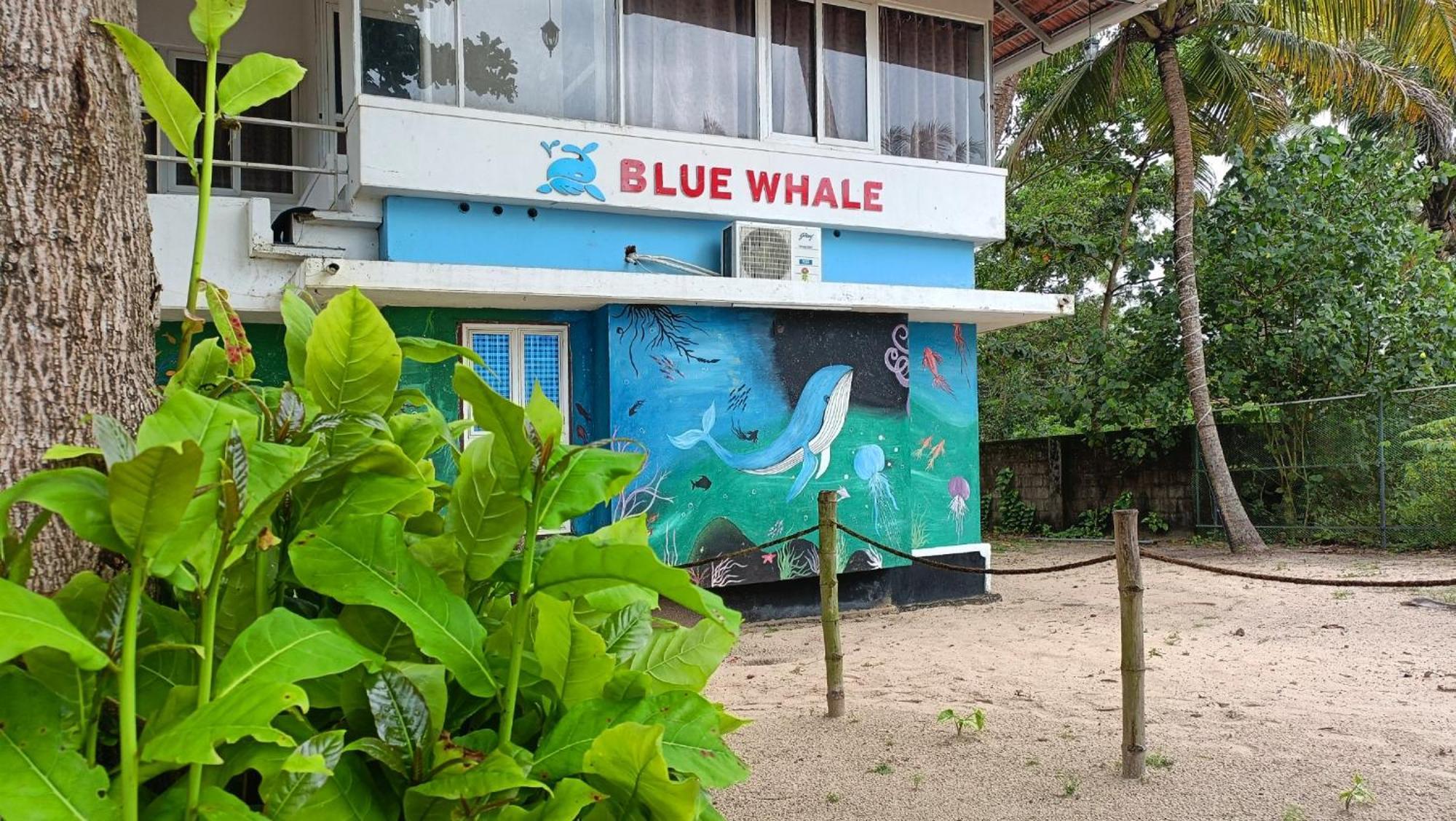 Marari Blue Whale Beach House アーラップーザ県 エクステリア 写真