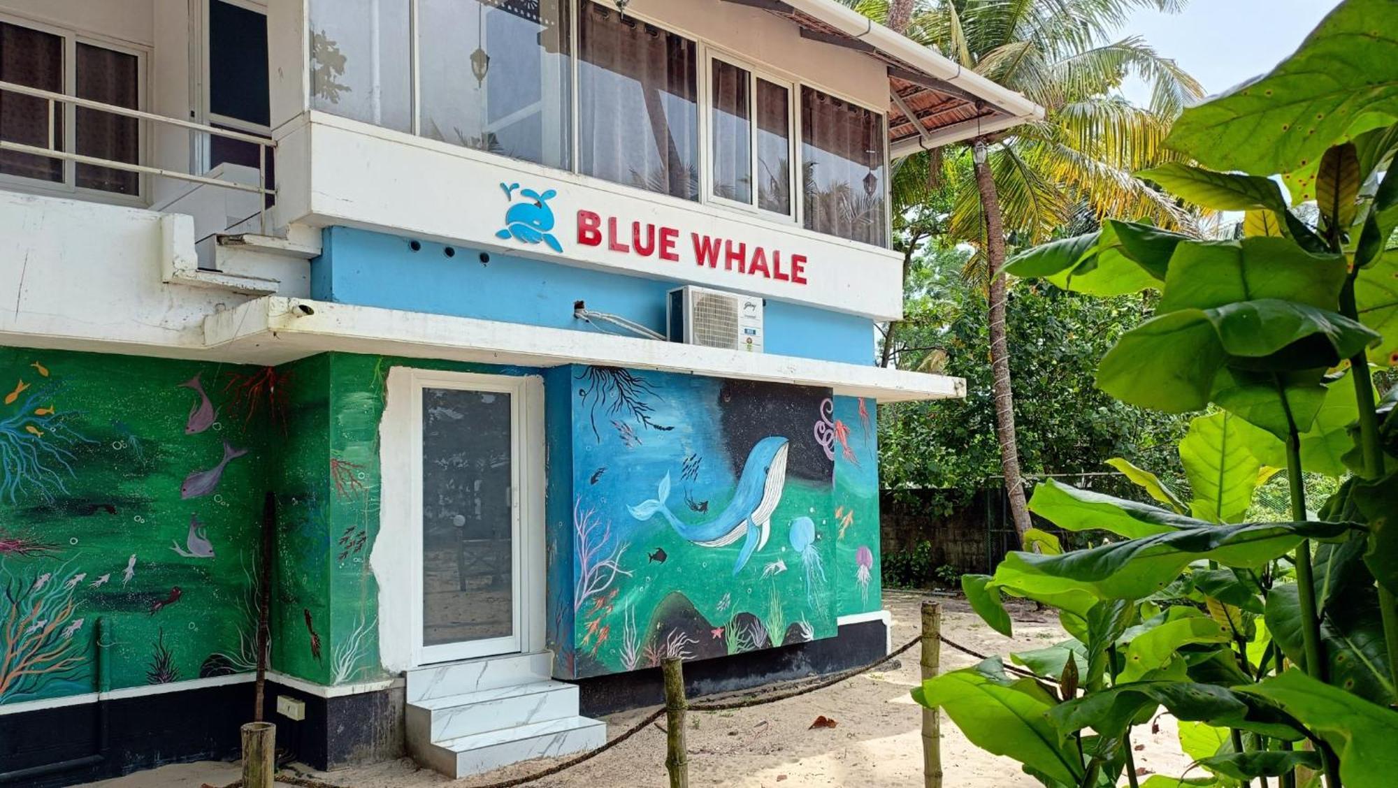 Marari Blue Whale Beach House アーラップーザ県 エクステリア 写真